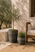 Black Textured Cement Planter Pot